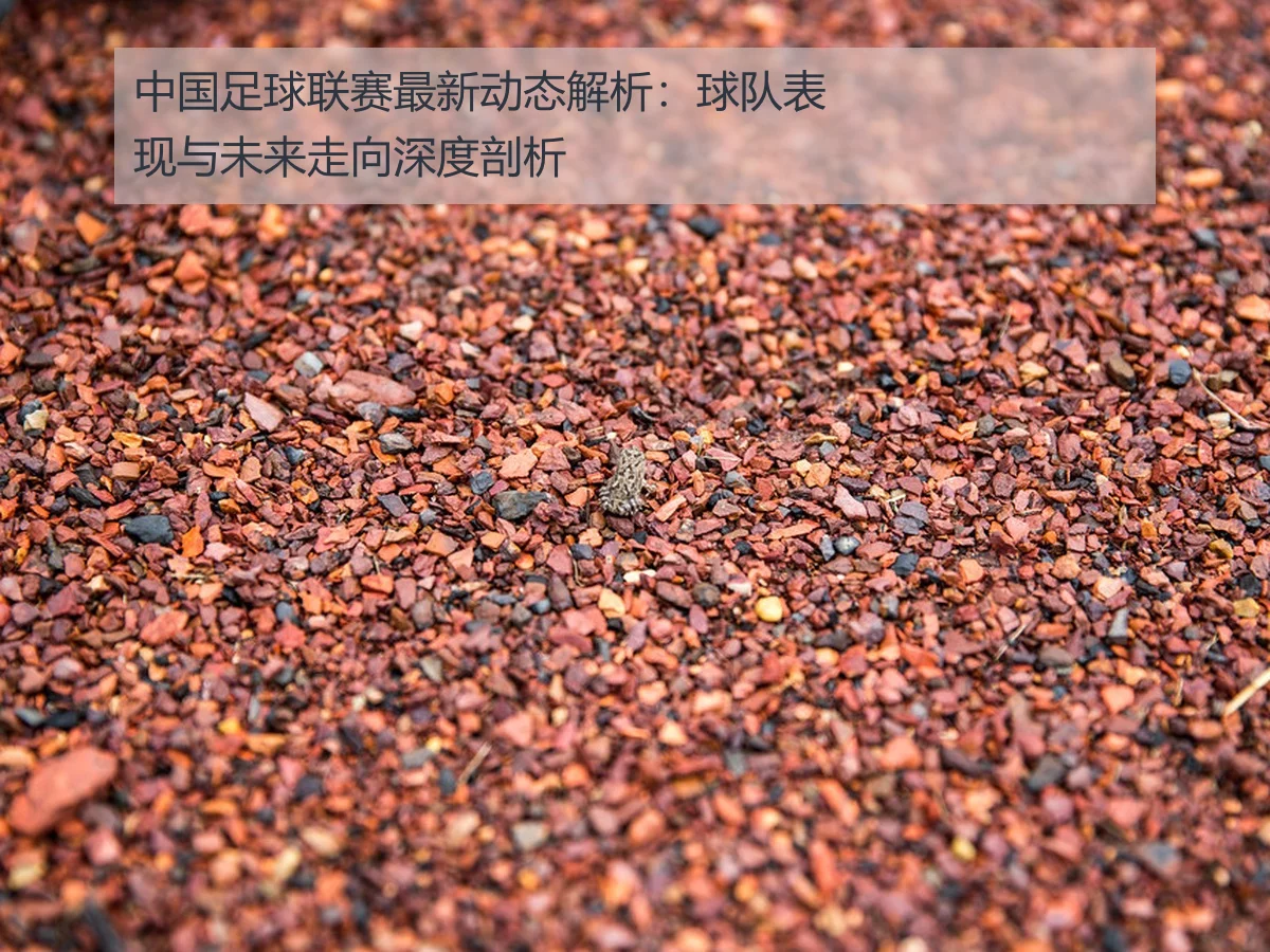中国足球联赛最新动态解析:球队表现与未来走向深度剖析